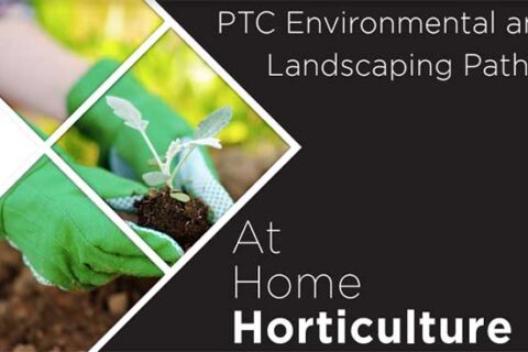 man planting sapling and ptc environmental and landscaping pathway