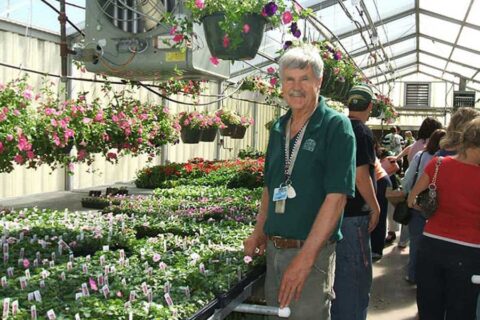 a old man standing in a plant nursery