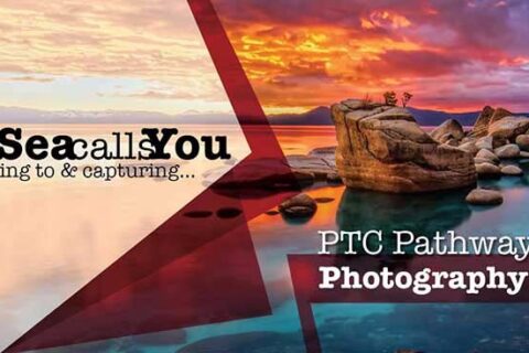 Photography Pathway banner