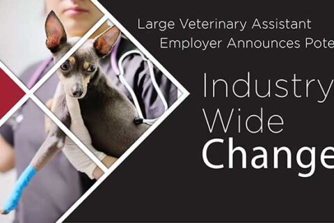 Veterinary Assistant program in Aurora, CO