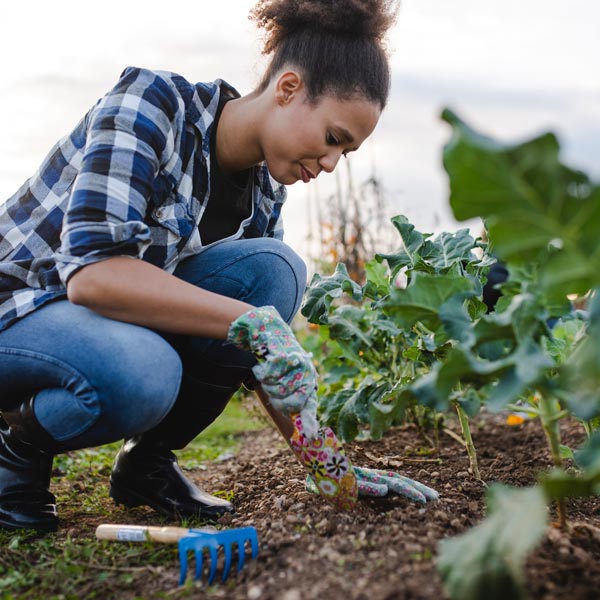 woman looking at crops in field