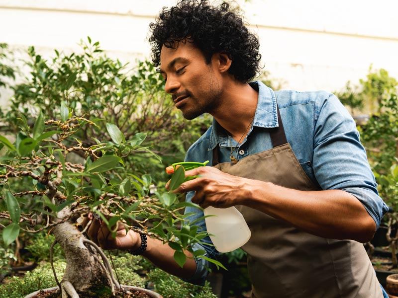 man spraying plant in greenhouse